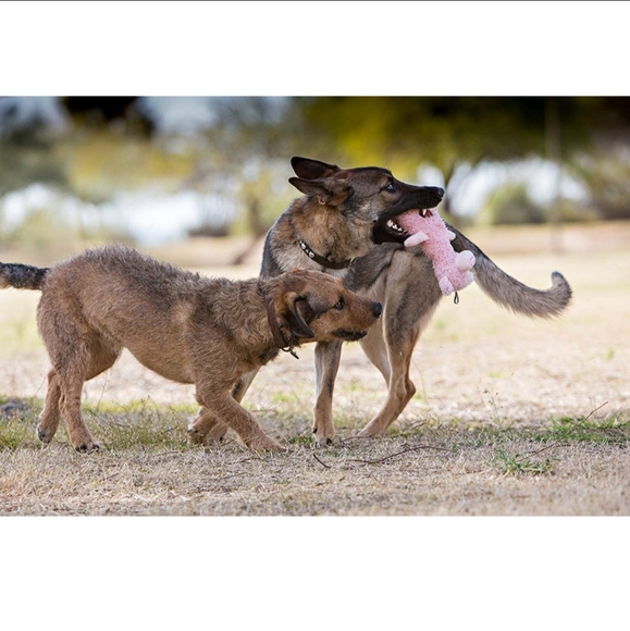 Bunny Scruffles Plush Dog Toy - Picture 7 of 7